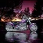 Profile picture of Theresa Cole